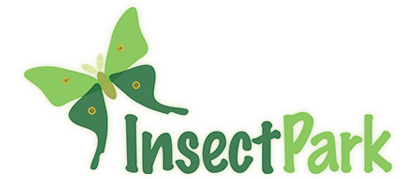 Insect Park